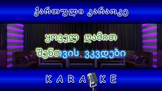 თეთრი რაში KARAOKE [upl. by Alamat]