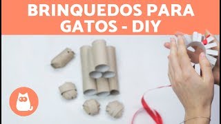 4 brinquedos para gatos com rolos de papel [upl. by Marcelia155]