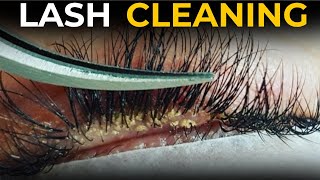 Lash Cleaning Tutorial For Beginner Lash Artists [upl. by Latif]