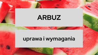 ARBUZ  uprawa i wymagania 15 najważniejszych rzeczy w uprawie ARBUZA [upl. by Naliorf201]