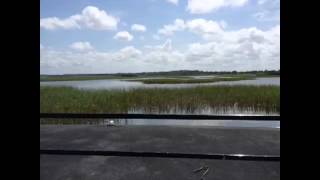 Boggy Creek Airboat Rides Kissimmee Florida [upl. by Renwick]