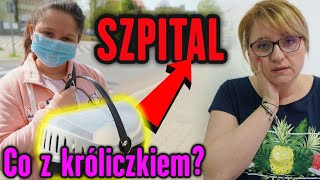 JADĘ DO SZPITALA 😥 CO Z KRÓLICZKIEM ❓ MISIA I JA [upl. by Kelvin]