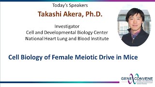 Cell Biology of Female Meiotic Drive in Mice  Takashi Akera  March 2 2022 [upl. by Gibun]