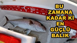 Benden kaçabileceklerini sanıyorlardı ama onların İnini buldumBu kuzu balığı beni hayli yordu [upl. by Ahsienal]