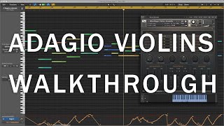 8Dio Adagio Violins  A Part of the Anthology Series Walkthrough [upl. by Laroc]