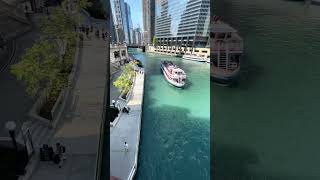 The Chicago River boat cruising by [upl. by Baptlsta]