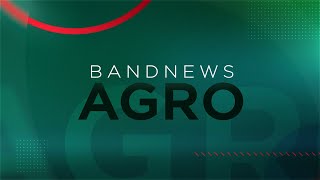 Governo avança na criação de fundo para o RS  BandNews TV [upl. by Cahn]