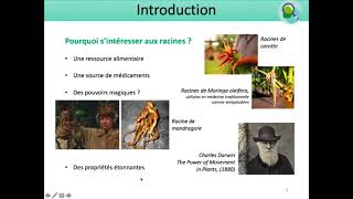 Biologie végétale  Les racines  Introduction [upl. by Brunhild]