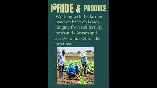 A PROMISE TO THE FARMER FROM PRUDENT FARMSTAR farming farmkenya betterlifefarming farmafrica [upl. by Lucrece278]