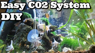 DIY C02 System Fastest and Easiest  Beginners [upl. by Haldis187]