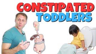 Understanding Constipation In Toddlers [upl. by Dhruv527]