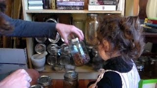 Foraging Edible Plants  Apothecary Medicine for Flu  Wild Food Episode 1 [upl. by Nace]