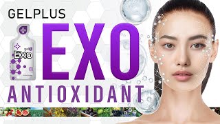 EXO  Gelplus 來自 17 種水果的抗氧化劑 阿薩伊漿果、沙棘、石榴、黑葡萄 CH Sound [upl. by Lorri]