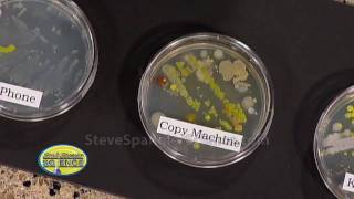 Growing Bacteria  Petri Dish [upl. by Tebzil]