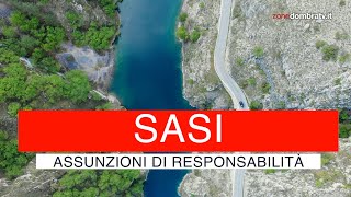 Sasi assunzioni di responsabilità [upl. by Nnylamme]