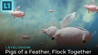 The Level1 Show March 26 2024 Pigs of a Feather Flock Together [upl. by Garretson]