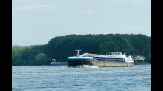 152 Shipspotting Binnenschiffe auf dem Rhein  GMS Bavaria 55 am Eicher See [upl. by Cassondra]