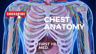 CHEST ANATOMY Thoracic wall GROSS [upl. by Sekofski]