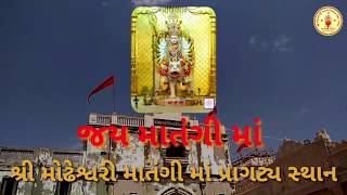 Matangi Maa Ni Samuh Aarti માતંગી માં ની સમૂહ આરતી [upl. by Ellenuahs51]