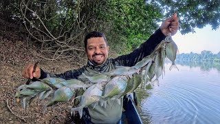 ERA UM PEIXE ATRÁS DO OUTRO PESCARIA E ALMOÇO NA BEIRA DO RIO [upl. by Enel]