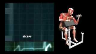 Exercicios Ombro para pacientes com Artrite AcromioClavicular [upl. by Thurnau391]