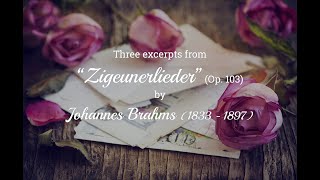 Three Excerpts from Zigeunerlieder [upl. by Adnuhs504]