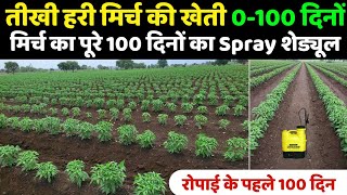 मिर्ची की खेती  mirchi ki kheti  Spray Schedule  Pest and Insect Management  मिर्च के स्प्रे [upl. by Kindig]