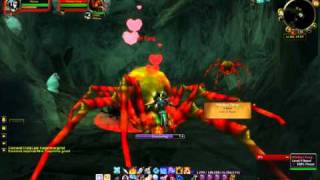 Mother Fang Tame  Rare Red Spider in Elwynn Forest [upl. by Wehner]