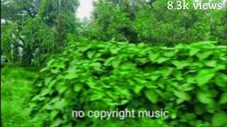 Background music  no copyright music Nocopiright [upl. by Susie428]