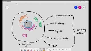 21 Introduction to Cambridge AS amp A Level Biology  Biological Molecules [upl. by Ammej]