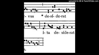 Sicut Cervus Gregorian Chant [upl. by Conal]