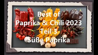 Best of Paprika amp Chili 2023 Teil 3  Süße Paprika [upl. by Maltz]