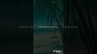 Tonton MaleleTokim Mi Stret Lyrics Video 2024 PNG Music🎶🎵 viralreels shortvideo [upl. by Leann964]