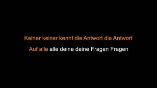 Die Fantastischen Vier  Ernten was wir säen Karaoke [upl. by Athalie230]