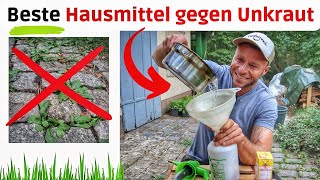 Unkrautvernichter selber herstellen 🌿 ANLEITUNG I Unkraut mit Hausmitteln bekämpfen [upl. by Emirak]