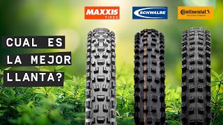 ¿Cuál es la MEJOR llanta para MTB Schwalbe Magic Mary vs Continental Argotal [upl. by Meldoh]