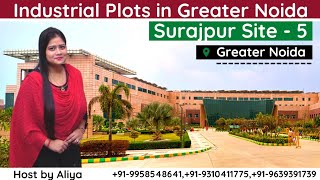 Industrial plot in greater noida  Surajpur site  5  Price Details  Gurudev Real Estate [upl. by Jaye]