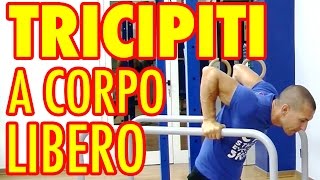 I MIGLIORI ESERCIZI PER TRICIPITI A CORPO LIBERO PER IL TUO ALLENAMENTO [upl. by Sydel951]