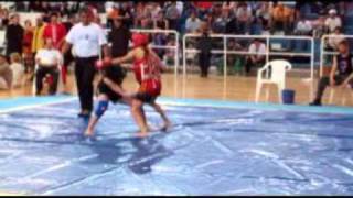 Torneo Nacional FAWK  CENARD 2011  TAIKA CHISU ARGENTINA Clan Wei Feng SAN SHOU  KUNG FU [upl. by Anatollo212]