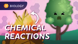 Chemical Reactions in Biology Crash Course Biology 26 [upl. by Merwyn953]