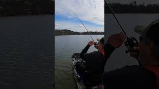 Bass anglers nightmare Hog lost at the boat kayakbassfishing bassfishing clearlake largemouth [upl. by Enyr]