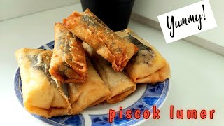 PISCOK LUMER HANYA 3 BAHANPRAKTIS [upl. by Evy220]