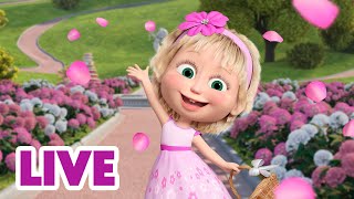 🔴 LIVE STREAM 🎬 Masha and the Bear 🔁 Watch Special Episode All Day 📺▶️ [upl. by Ennirroc]