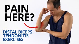 3 Exercises to Heal Distal Biceps Tendonitis Pain [upl. by Rufus248]