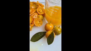 CUTTING CALAMANSI healthy asmr food shortvideos viral trending short [upl. by Dowzall]