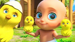 🐤🐥Los Pollitos Dicen Pio Pio 🎶 Canciones Infantiles para niños  looloo kids español [upl. by Franci]