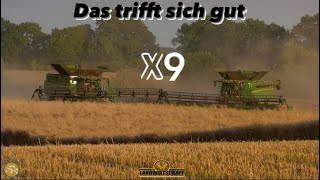 Das trifft sich gut 2x  X9  1100 amp 8900 Lexion Rapsernte an der Ostsee Großeinsatz Raps dreschen [upl. by Ahsilrak]