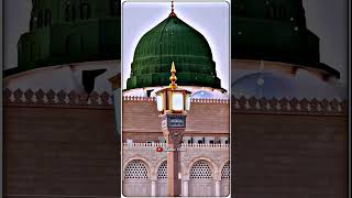 Islamic video  Islamic status  islamic shorts  islamic virals  Islamic Voice  islamicNaatsharif [upl. by Conlin]