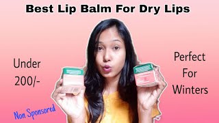 Best Lip Balm For Dry Lips  Perfect for Winters [upl. by Bertina331]