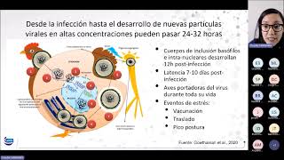 Webinar 69 I Control y monitoreo para Laringotraqueitis experiencia en Perú [upl. by Akinimod244]